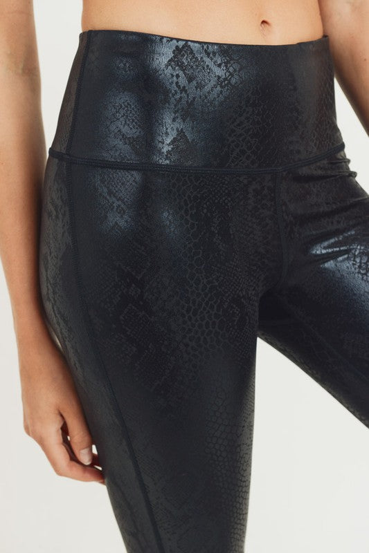 Serpentine Black Snake
